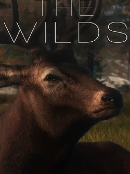 The WILDS
