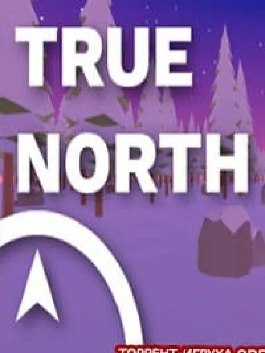 True North