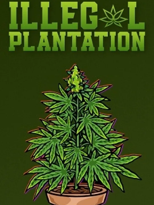Illegal Plantation